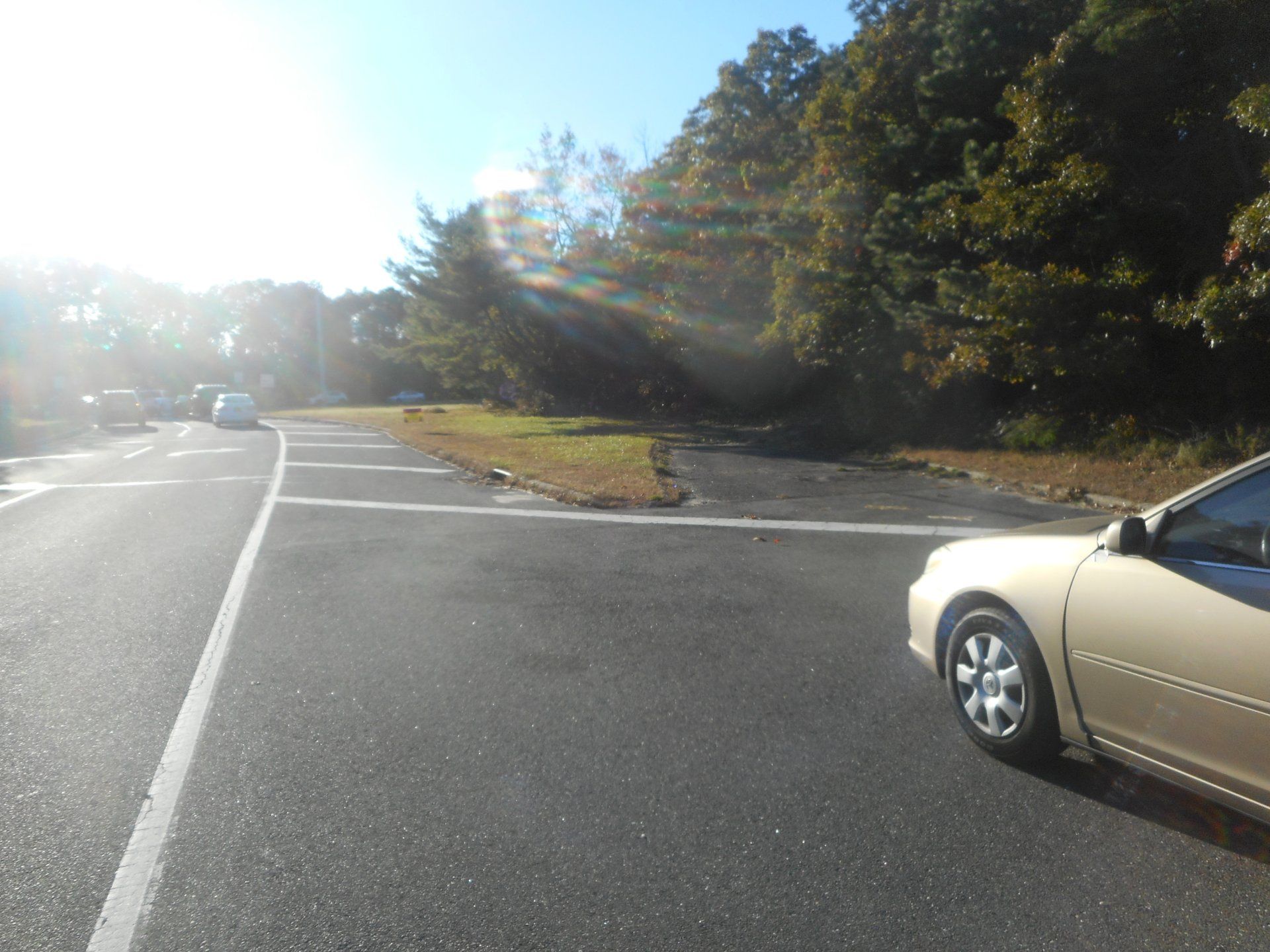 Holtsville gallery image 3