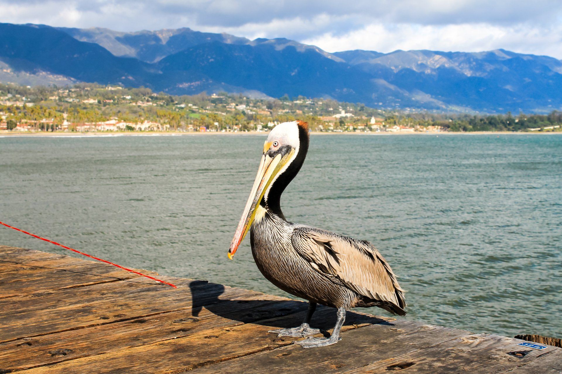 Santa Barbara Shores, FL