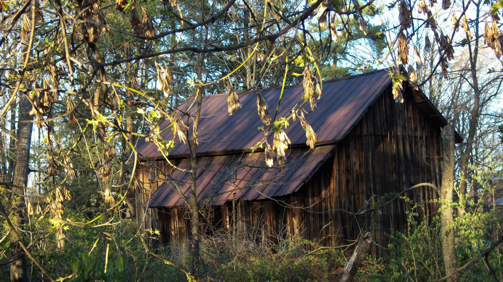 Pocono Ranch Lands gallery image 1