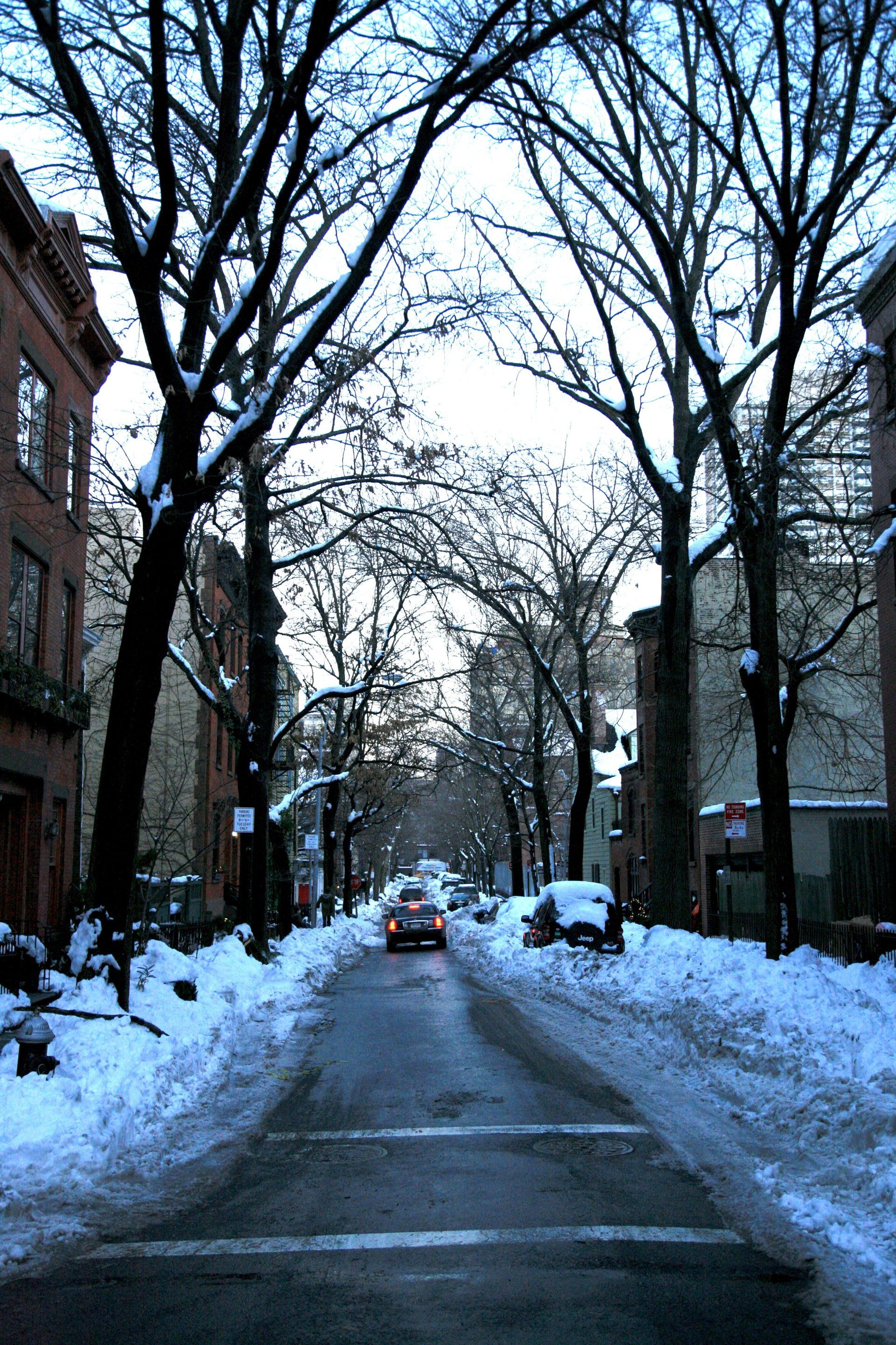 Village of the Branch gallery image 1