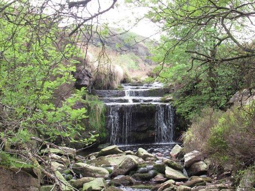 Haworth, NY